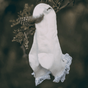 Namakwa-kapokbos Fraaisokkies